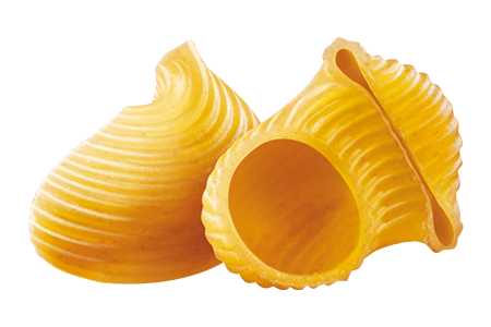filiz-makarna-manti-dekupe